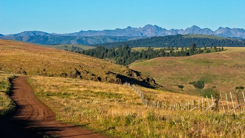 catsback wallowa county
