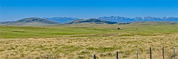 zumwalt road summer panorama tn